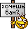 :bun: